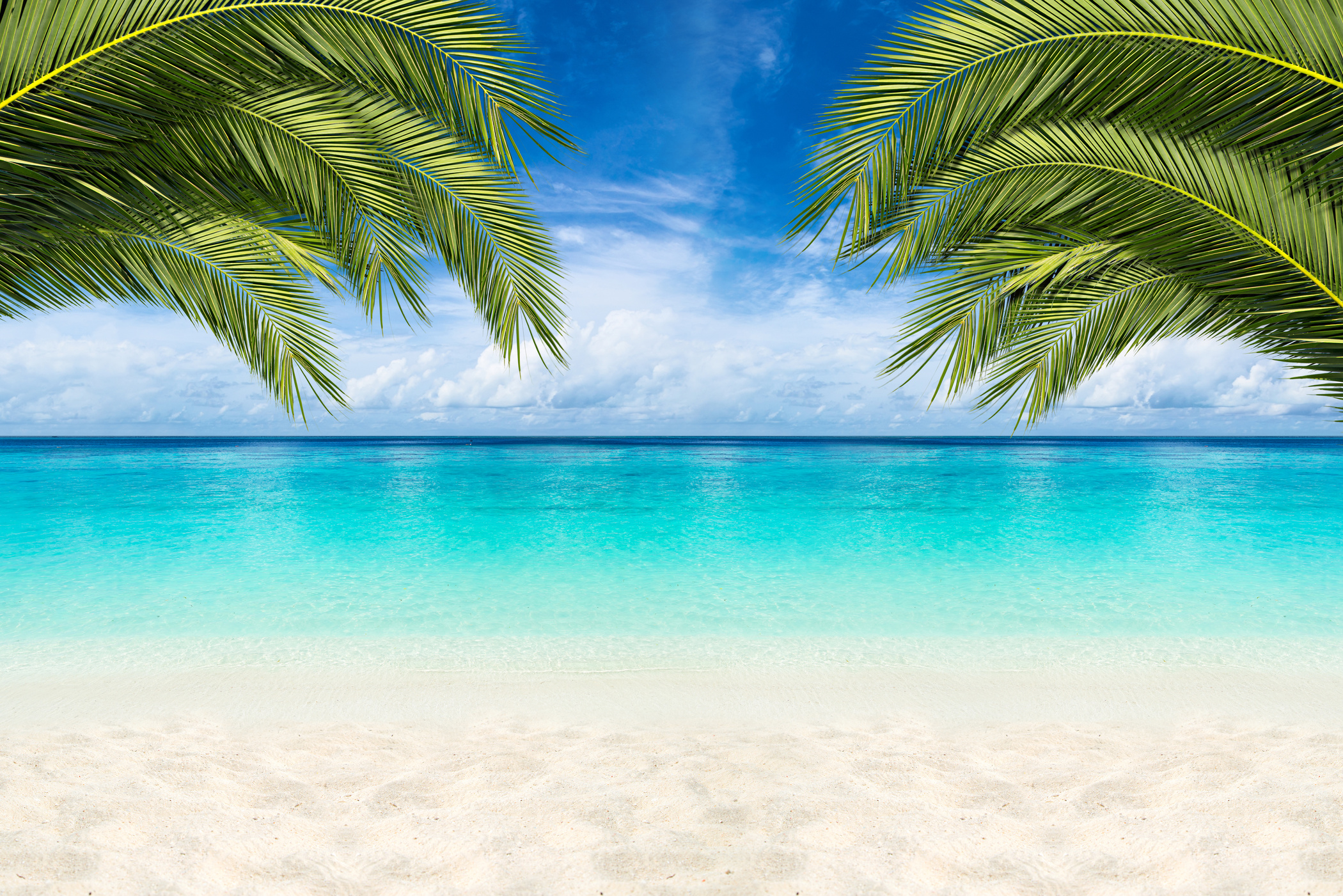 paradise beach background